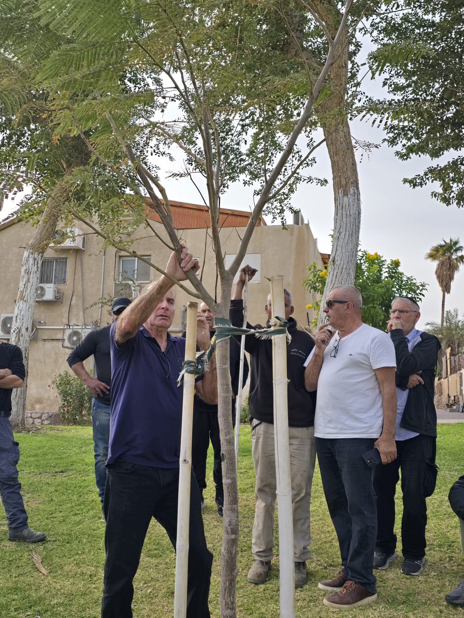 תרגול גזם בשטח